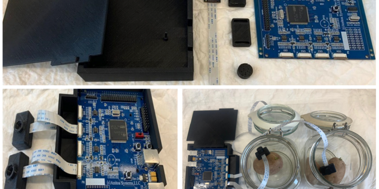 L’Université hébraïque d’Israël et l’Institut Volcani font équipe pour prévenir une crise alimentaire mondiale imminente :  Un nouveau capteur biologique détecte la pourriture cachée des pommes de terre