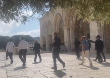 Shehab News : « des bandes de pionniers prennent d&rsquo;assaut la mosquée d&rsquo;Al-Aqsa » – mais leur vidéo dit tout autre chose…