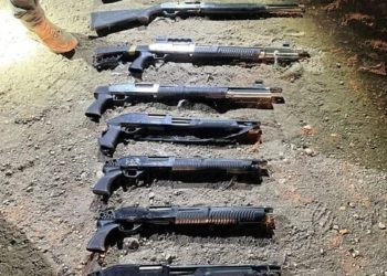 Les forces de sécurité saisissent 8 fusils et arrêtent 5 contrebandiers arabes à la frontière jordanienne