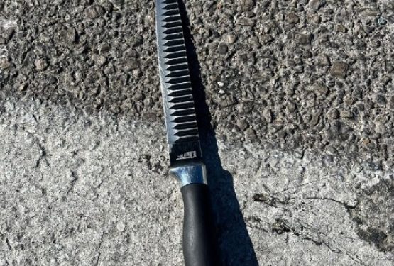 Les forces de sécurité ont arrêté une terroriste avant qu’elle commettre un attentat au couteau au point de passage d’Al-Jib