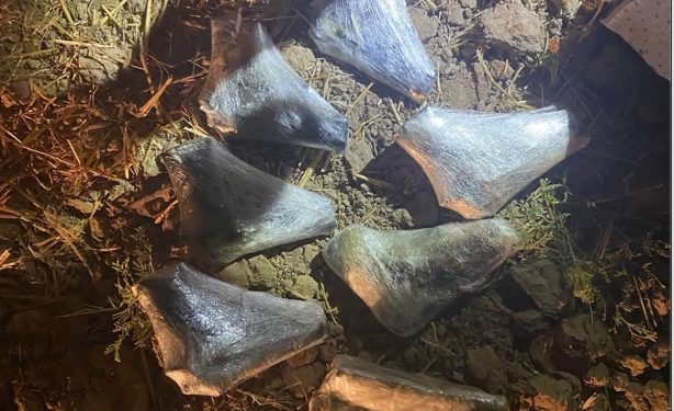 Saisie d’armes de contrebande à la frontière jordanienne