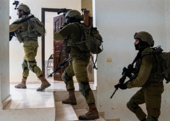 Un terroriste mort, 27 personnes arrêtées lors d’une opération anti-terroriste des FDI