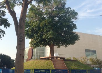 Le point sur le logement : panorama des prix de vente et de location dans les villes israéliennes