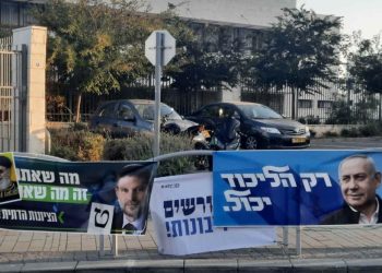 Comment a voté votre voisin : les élections ville par ville