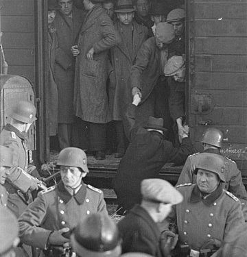La rafle oubliée : au Vieux-Port de Marseille