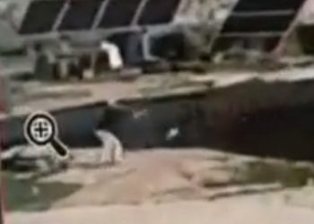 Un terroriste tué lors d’une attaque terroriste ratée contre un agriculteur juif près de Ramallah