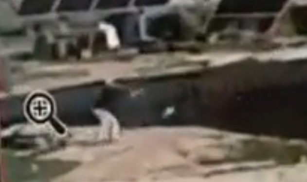 Un terroriste tué lors d’une attaque terroriste ratée contre un agriculteur juif près de Ramallah