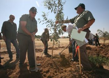 KKL reprend la plantation d&rsquo;arbres, qui a provoqué la colère des Bédouins en janvier 2022