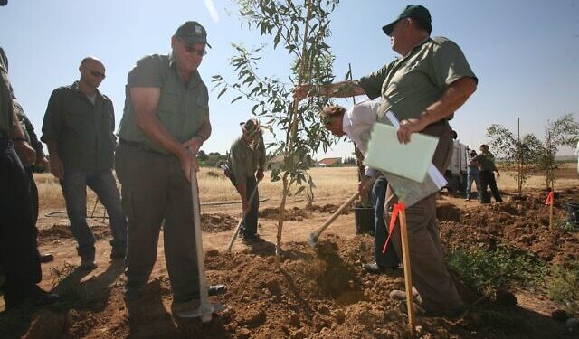 KKL reprend la plantation d’arbres, qui a provoqué la colère des Bédouins en janvier 2022