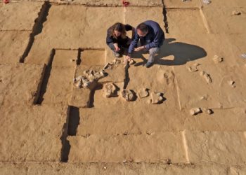 Omelette préhistorique : Huit œufs d’autruche vieux de plus de 4 000 ans découverts dans le Néguev