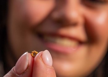 Un bijou en or de la Cité de David à Jérusalem de plus de 1 600 ans – et toujours aucune découverte d’antiquité palestinienne