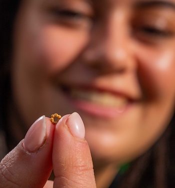 Un bijou en or de la Cité de David à Jérusalem de plus de 1 600 ans – et toujours aucune découverte d’antiquité palestinienne