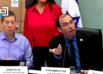 Atteinte à la démocratie : des activistes ont fait irruption pour faire taire le comité constitutionnel – au nom de la démocratie