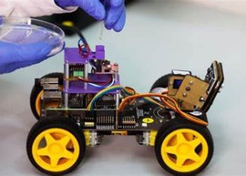 Des scientifiques israéliens mettent au point un robot renifleur doté d&rsquo;antennes de sauterelles
