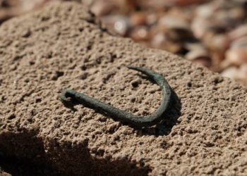 Découverte à Ashkelon d’un crochet de pêche en cuivre vieux de 6 000 ans