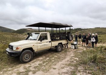 Coïncidence : la procureure contre Bibi a encore manqué la séance de médiation et pris des vacances prolongées à l’étranger