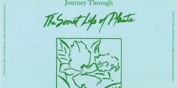 Des chercheurs israéliens révèlent le langage secret des plantes