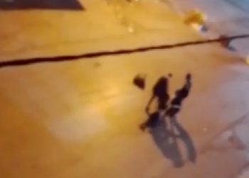 Vidéo : une fin heureuse