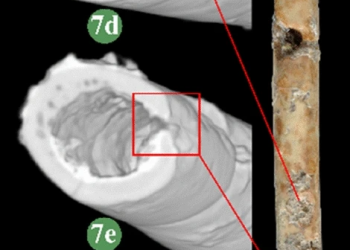 La plus ancienne flûte du monde découverte dans la vallée de Hula, au nord d’Israël