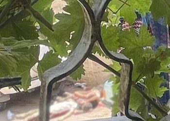 Pitoyable : Les Arabes affirment qu’Israël bombarde des « innocents » à Jénine, et les médias les croient !