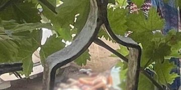 Pitoyable : Les Arabes affirment qu’Israël bombarde des « innocents » à Jénine, et les médias les croient !