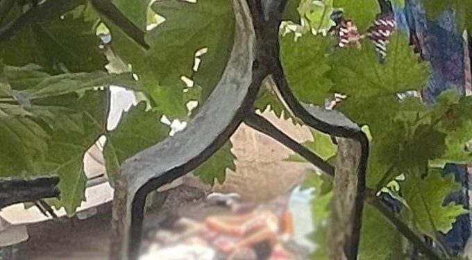 Pitoyable : Les Arabes affirment qu’Israël bombarde des « innocents » à Jénine, et les médias les croient !