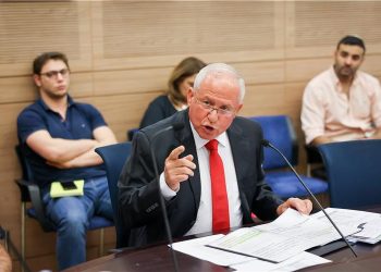 Ministre Avi Dichter : « Des voyous mettent le pays en danger »