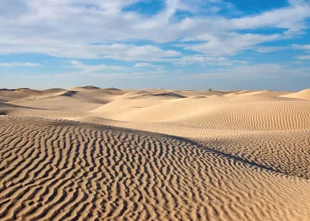 Israël reconnaît officiellement le Sahara occidental comme territoire marocain