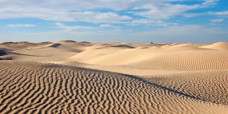 Israël reconnaît officiellement le Sahara occidental comme territoire marocain