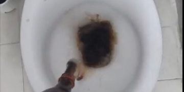 Si vous ne trouvez pas de Coca-Cola à l&rsquo;épicerie, c&rsquo;est la faute à la droite, ou à la gauche, c&rsquo;est selon…