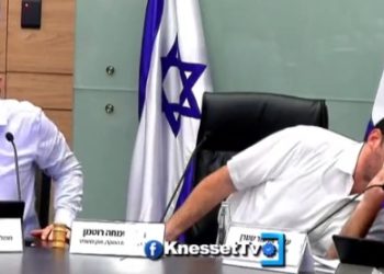 Une victoire pour l’opposition : le comité constitutionnel a interrompu le vote sur la clause de déraisonnabilité