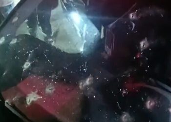 Un Arabe éliminé par Tsahal lors d&rsquo;une tentative d&rsquo;attaque à la voiture bélier