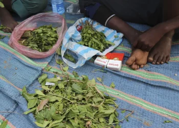 L&rsquo;Israélien ayant purgé une peine de 4 ans de prison en Turquie pour trafic de drogue est rentré au pays