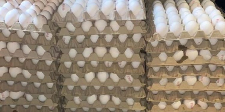 Grosse saisie de contrebande : 6 000 œufs !