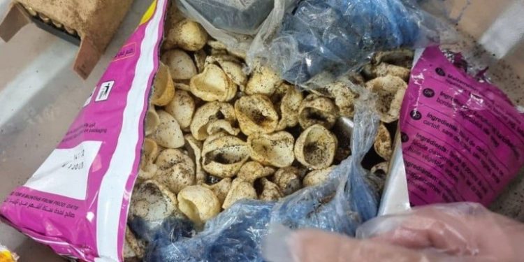 Armes à feu et munitions interceptées au point de passage de Hotze Shomron