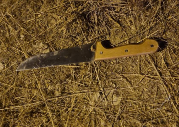 Un terroriste qui poursuivait des auto-stoppeuses pour les égorger a pris la fuite, les forces de Tsahal sont à sa recherche