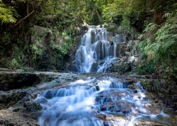 cascading water falls in woods