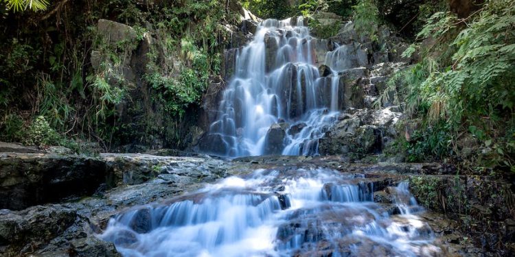 cascading water falls in woods