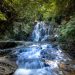 cascading water falls in woods