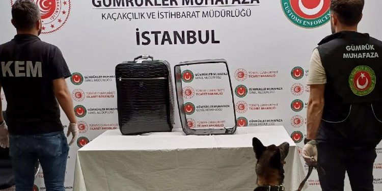 Un Israélien soupçonné d’avoir volé un objet historique est détenu en Turquie
