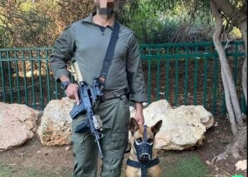 Un chien de sécurité aide à attraper cinq infiltrés arabes