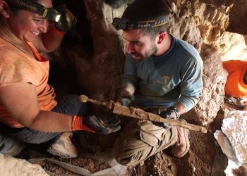 Sensation dans le désert de Judée : découverte d’épées romaines cachées par des rebelles juifs dans une grotte il y a 2000 ans