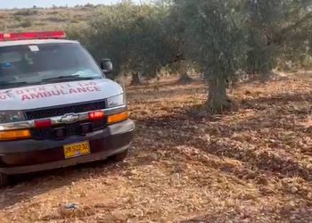 Double meurtre dans la communauté arabe : deux hommes tués par balle près d’Abu Sanan