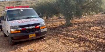 Double meurtre dans la communauté arabe : deux hommes tués par balle près d&rsquo;Abu Sanan