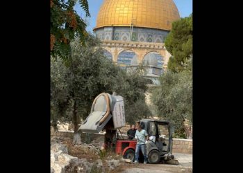 L&rsquo;organisation Beyadenu saisit la Haute Cour contre le dépôt d&rsquo;ordures par le Waqf sur le Mont du Temple