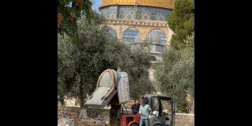 L&rsquo;organisation Beyadenu saisit la Haute Cour contre le dépôt d&rsquo;ordures par le Waqf sur le Mont du Temple