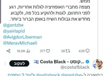 Un leader du camp du mal à la ministre du sionisme religieux : « Comparer des racailles comme toi aux nazis, c&rsquo;est les insulter »