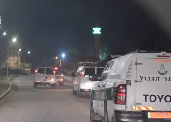 Lutte contre les organisations criminelles