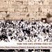Plus de 50 000 personnes à Birchas Kohanim au Kotel lundi