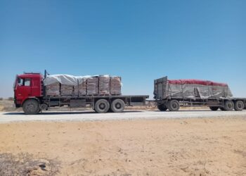 Combattants de Gaza : « on a le sentiment que la politique est qu’ils ne veulent pas gagner et écraser l’ennemi »